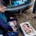 Peste 80 kg de pește, confiscate de către jandarmii dâmbovițeni pe o stradă din Ghirdoveni