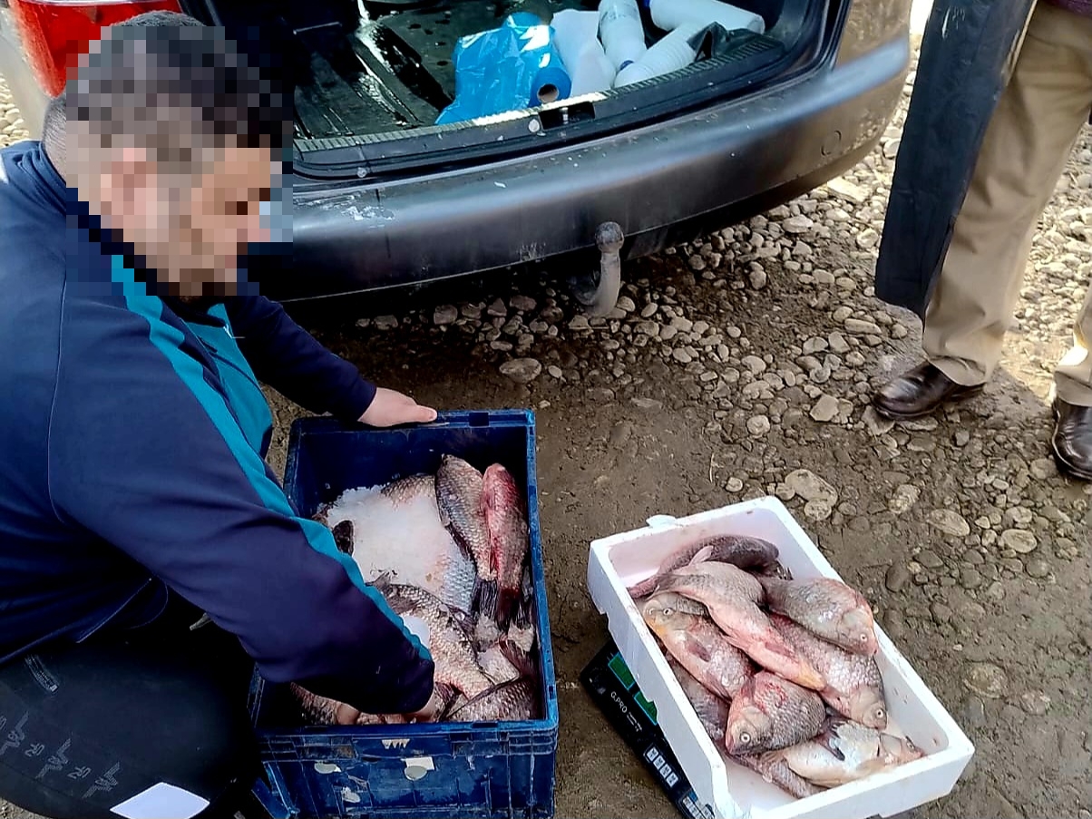 Peste 80 kg de pește, confiscate de către jandarmii dâmbovițeni pe o