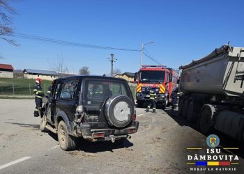 Accident rutier în Viișoara