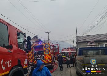 Video / Foto Intervenție în cazul unui incendiu în localitatea Glod.