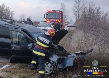 Accident rutier în localitatea Vișina