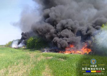 Incendiu de gunoi menajer și cauciucuri în comuna Conțești, sat Bălteni.