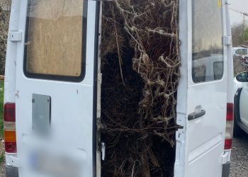 Surprins în timp ce ar fi transportat ilegal aproximativ 800 de kilograme de deșeuri nepericuloase și fără permis de conducere