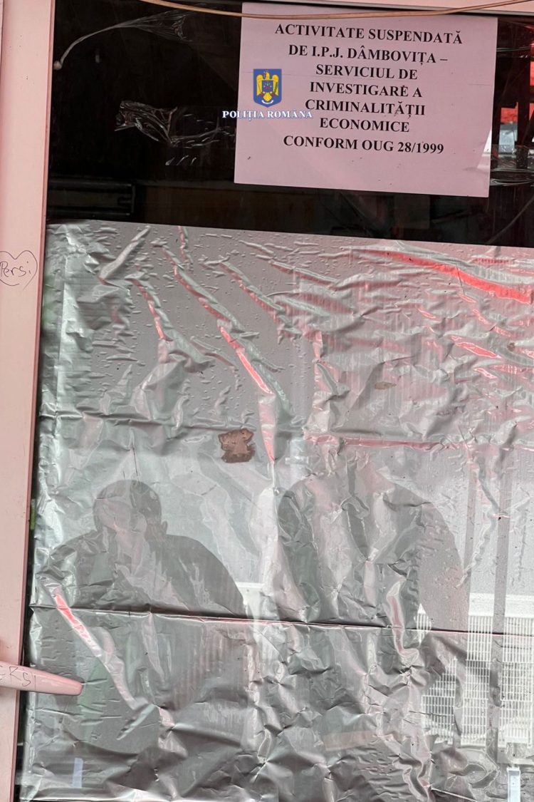 Controale ale polițiștilor de la investigarea criminalității economice