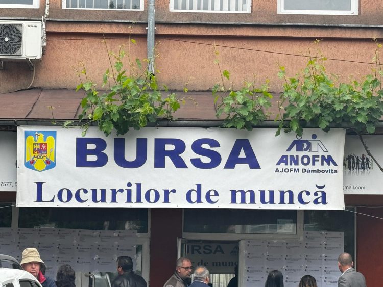 VIDEO/329 de persoane au fost selectate în vederea angajării la prima Bursă Generală a Locurilor de Muncă din acest an !