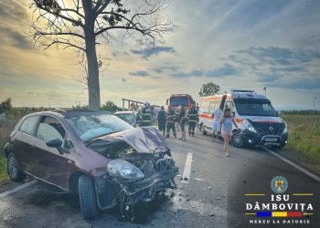 VIDEO- Accident pe DJ711 la ieșire din Comișani