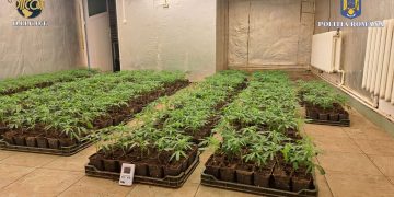 VIDEO/FOTO PERSOANE CERCETATE PENTRU CONSTITUIREA UNUI GRUP INFRACȚIONAL ORGANIZAT ȘI TRAFIC DE DROGURI