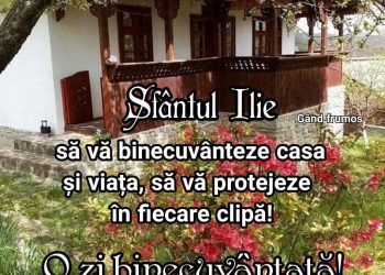 VEZI MESAJUL PRIMARULUI COMUNEI SĂLCIOARA, PÂRVU VALENTIN, CU OCAZIA ZILEI DE SFÂNTUL ILIE!
