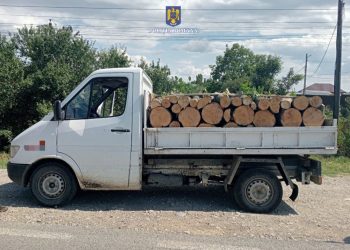 Acțiuni pentru siguranța comunității!