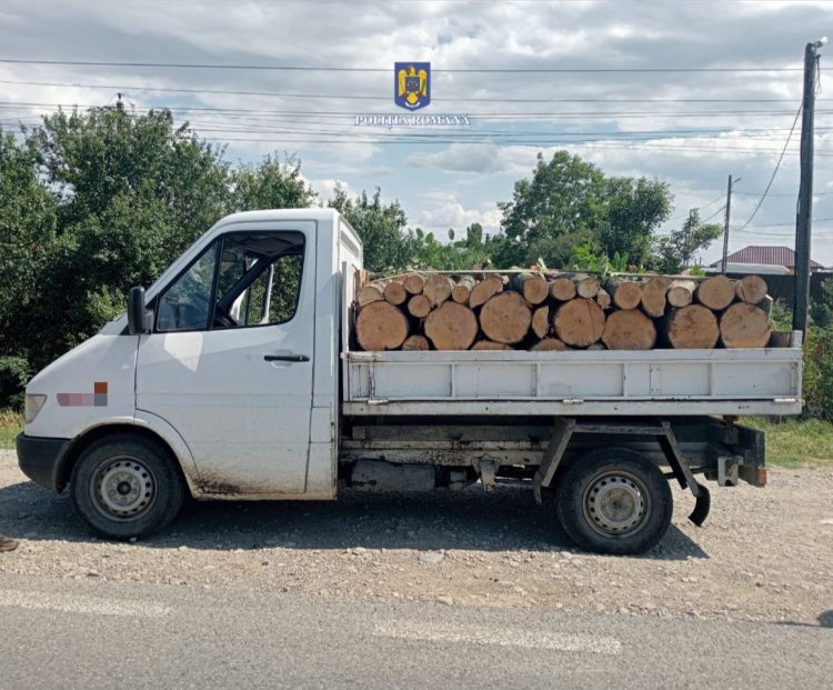 Acțiuni pentru siguranța comunității!