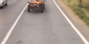 Conducător de Atelaj Hipo Sancționat cu 16.470 de Lei pentru Nereguli Rutiere și Îngrijirea Inadecvată a Animalului!