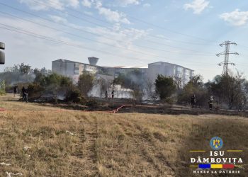 Intervenție Complexă în Moreni: Lupta împotriva Incendiului de Vegetație și Gunoi Menajer!