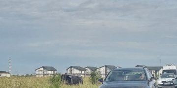 Accident rutier produs în localitatea Lazuri