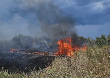 VIDEO-Incendiu de Vegetație Uscată în Voia, Crângurile: Pompierii Găești Intervin Prompt pentru a Proteja Locuințele!