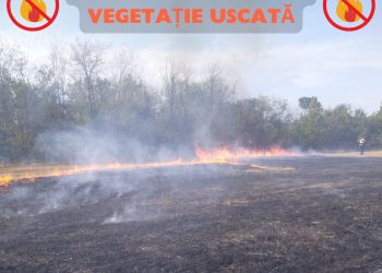 Pericolul incendiilor de vegetație: 9 intervenții în ultimele 24 de ore. Respectați regulile pentru a preveni tragediile!