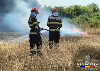 FOTO- Incendiu de Vegetație Uscată la Mătăsaru: Pompierii Intervin cu Trei Autospeciale pe o Suprafață de 20.000 mp!
