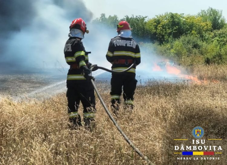 FOTO- Incendiu de Vegetație Uscată la Mătăsaru: Pompierii Intervin cu Trei Autospeciale pe o Suprafață de 20.000 mp!