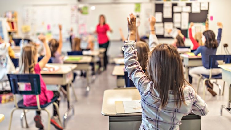 Mesajul Deputatului Carmen Holban pentru Începutul Noului An Școlar: Sprijin, Încredere și Dorința de Succes pentru Toți Elevii și Cadrele Didactice