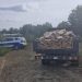 Sancțiuni de 5.000 de lei și confiscarea materialului lemnos în urma controalelor silvice în Vișina, Corbii Mari și Pietrari!