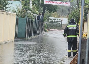 Foto/Video-Fenomene Meteorologice Severe în 16 Județe și București: Inundații, Evacuări și Intervenții de Urgență