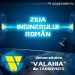 Ziua Inginerului Român sărbătorită la Universitatea „Valahia” din Târgoviște – Construiește-ți viitorul prin inovație și creativitate!