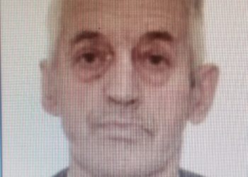 L-ați văzut?