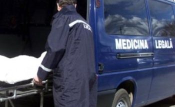 Accident Tragic la Valea Lungă-Cricov: Un Bărbat de 31 de Ani a Decedat După Ce a Căzut dintr-un Atelaj Hipo