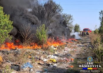 Intervenție de Urgență la Incendiu de Deșeuri și Cauciucuri în Bălteni, Contești