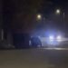 Video – ursul în Vulcana Băi