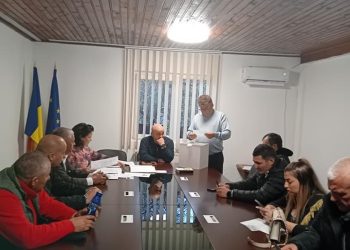 Dumitru Ion Ales Viceprimar al Comunei Butimanu