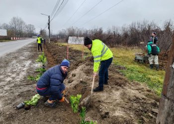 (Foto) George Rotaru, Primarul Comunei Vulcana-Pandele: Proiecte pentru Mediu și Comunitate