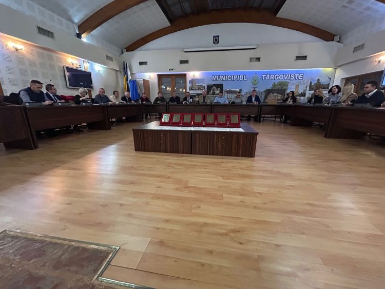 Spital Nou de Pediatrie în Târgoviște: Proiectul Major al Județului Dâmbovița Aprobat Unanim