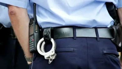 Dosar Penal la Târgoviște: Ultraj Contra Bunelor Moravuri și Furt, Săvârșite de un Bărbat de 43 de Ani