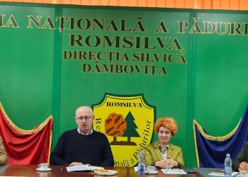 Direcția Silvică Dâmbovița: Model de Excelență în Gestionarea și Conservarea Pădurilor României