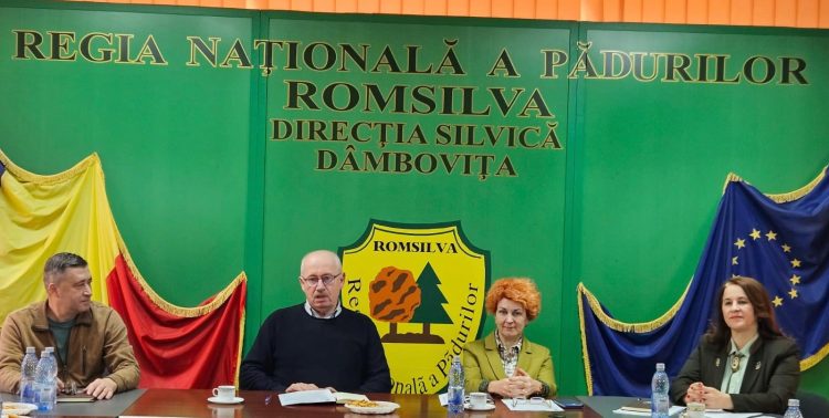 Direcția Silvică Dâmbovița: Model de Excelență în Gestionarea și Conservarea Pădurilor României