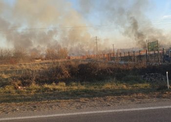 Incendiu de Vegetație Devastator în Răzvad: Intervenție de Urgență cu 6 Autospeciale și Mesaj RO-ALERT pentru Populație!