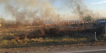 Incendiu de Vegetație Devastator în Răzvad: Intervenție de Urgență cu 6 Autospeciale și Mesaj RO-ALERT pentru Populație!