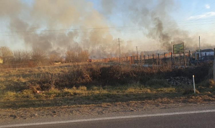 Incendiu de Vegetație Devastator în Răzvad: Intervenție de Urgență cu 6 Autospeciale și Mesaj RO-ALERT pentru Populație!
