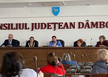 Soluții pentru decongestionarea UPU: Întâlnire privind operaționalizarea centrelor de permanență în Dâmbovița