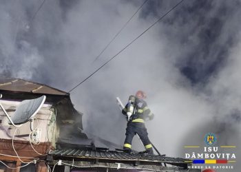 Incendiu în Gorgota: Intervenție promptă a pompierilor pentru salvarea unei locuințe