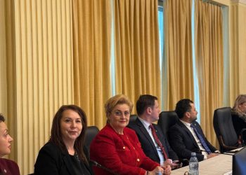Carmen Holban susține investițiile în sănătate: Fonduri pentru spitalele din Târgoviște și Pucioasa