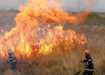 Incendiu de vegetație în Valea Voievozilor! Flăcările au cuprins 2,5 hectare, pompierii au intervenit de urgență!