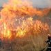 Incendiu de vegetație în Valea Voievozilor! Flăcările au cuprins 2,5 hectare, pompierii au intervenit de urgență!