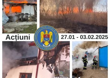 Intervențiile ISU Dâmbovița în Ultima Săptămână: 342 de Misiuni pentru Siguranța Cetățenilor