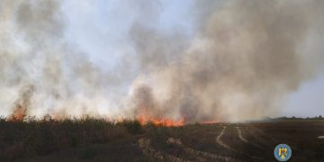 Incendiile de vegetație fac ravagii! Amenzi usturătoare pentru cei care încalcă legea!