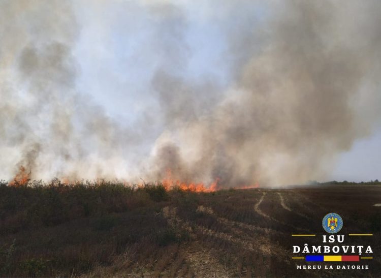 Incendiile de vegetație fac ravagii! Amenzi usturătoare pentru cei care încalcă legea!