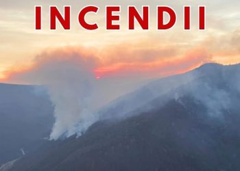 Incendii devastatoare în 6 județe! Peste 500 de hectare mistuite de flăcări, intervenție aeriană pentru stingere!