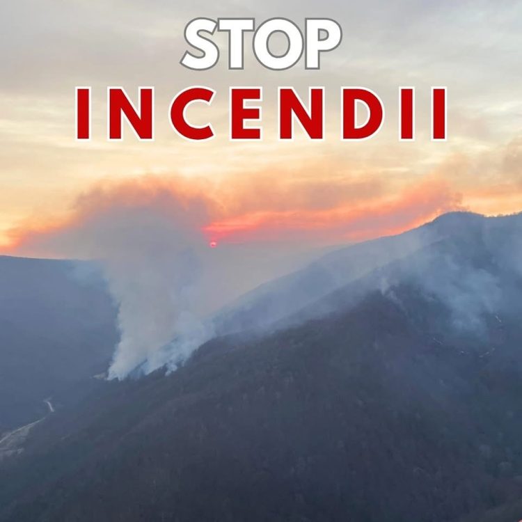 Incendii devastatoare în 6 județe! Peste 500 de hectare mistuite de flăcări, intervenție aeriană pentru stingere!