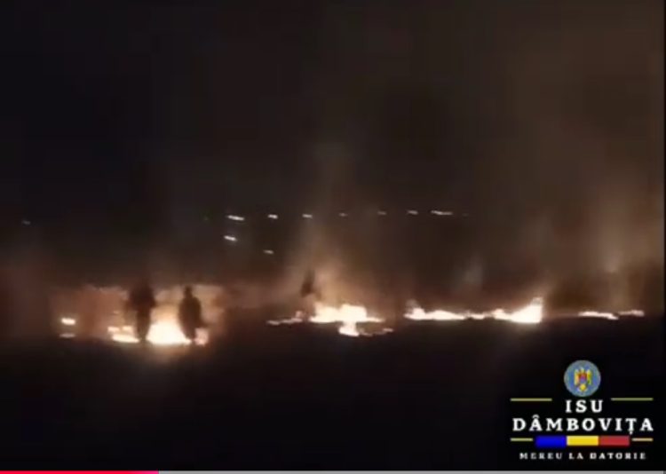 (Video) Incendiu de vegetație în Ludești! Flăcările au cuprins un hectar, pompierii intervin de urgență!