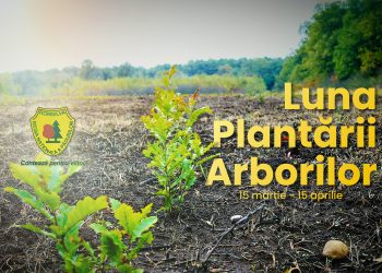 „Luna Plantării Arborilor” în Dâmbovița: Mii de copaci plantați pentru viitorul verde al României!